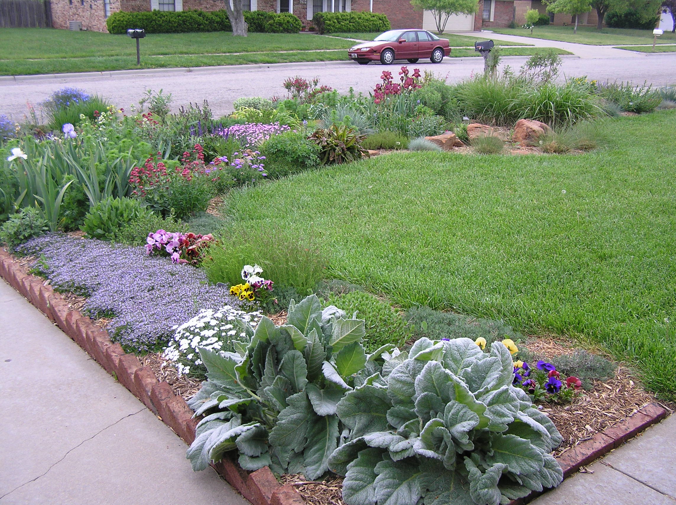 Xeriscape Spring 2.JPG
